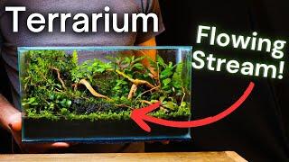 I Made a Terrarium With a FLOWING STREAM, Here’s How!