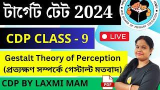 খুব গুরুত্বপূর্ণ CDP ক্লাস 9 | TET CDP MCQ | CDP Class | WB Primary TET Preparation | Roy's Coaching