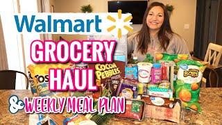 WALMART GROCERY HAUL | ALDI FILL IN HAUL | FAMILY OF FOUR | GROCERY HAUL WITH WEEKLY MEAL PLAN