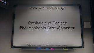 Phasmophobia Best Moments #1