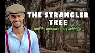 The Strangler Tree and the macabre story behind it