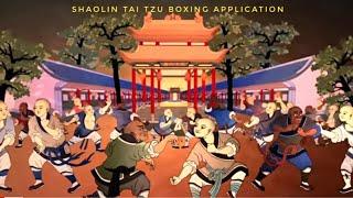 Shaolin Tai Zhu Boxing - Combat Application