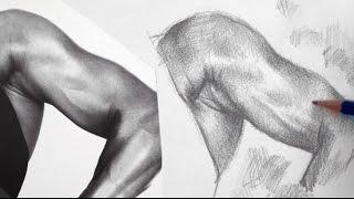 How to Shade a Drawing with Pencil - Shading Techniques