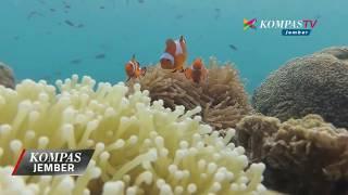 SURGA BAWAH LAUT PULAU GILI