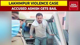 Lucknow High Court Grants Bail To Ashish Mishra In Lakhimpur Violence Case