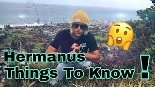 THINGS TO KNOW BEFORE VISITING HERMANUS.. !?! // Matthew Venn..
