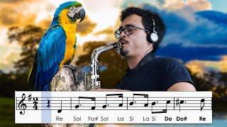 Sax alto - Hino Nacional do Brasil, partitura com notas.