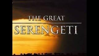 The Great Serengeti - Wild Animal Documentary  - National Geographic