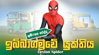 ඉබ්බාගමුවේ යුක්තිය  | Ceylon Spider