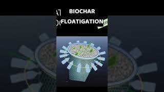 Biochar Floatigation | Growing Plants on Water Using Biochar #biochar