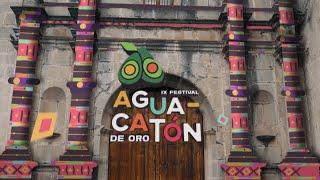 Festival de Cine Aguacatón de Oro - Trailer 2022