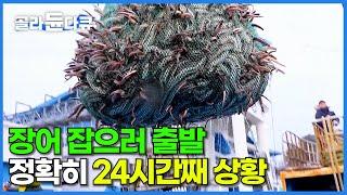 오직 한국에서만 볼 수 있는 풍경! 통발 10,000개로 24시간 장어 낚시하면 벌어지는 상황│붕장어잡이 선상 먹방│아나고 만선│극한직업│#골라듄다큐