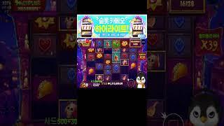 슬롯카메오 펭귄 무에르토스 600배! #슬롯머신 #슬롯 #프라그마틱 #잭팟 #slot #pragmatic