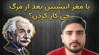 با مغز انیشتین بعد از مرگ چه کردند ؟ 