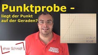 Punktprobe - Liegt der Punkt auf der Geraden? | Mathematik - einfach erklärt | Lehrerschmidt