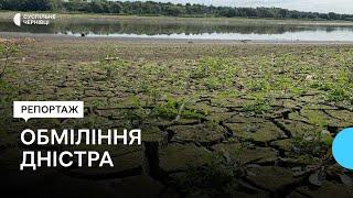 У Чернівецькій області через посуху обмілів Дністер