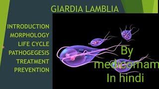 GIARDIA LAMBLIA |MORPHOLOGY |LIFE CYCLE |PATHOGENESIS |TREATMENT |PREVENTION |LAB DIAGNOSIS IN HINDI