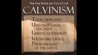 Can You Lose Your Salvation? (Yes) - Problems with TULIP