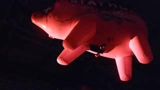 Roger Waters - Pigs (Olympiahalle München/ Olympic Hall Munich, 13.06.18) HD Us + Them Tour
