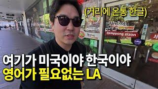 미국에서 영어 안쓰고 계좌개설, 휴대폰개통, 보험가입까지 영어가 필요없는 지상 최대의 한인타운 LA 정착기 - 미국 이민[2]
