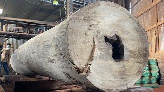 Operating Extra Large Saws, Beautifully Sawing Planks | Walnut Wood Has Core Rot