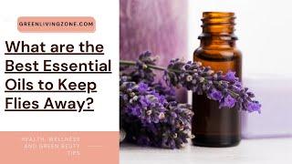 What are the Best Essential Oils to Keep Flies Away