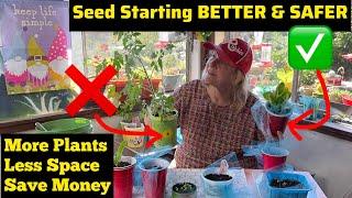 BEST Seed Starting Indoor Method for EASY Transplanting Plants Later to Garden / Container Gardening