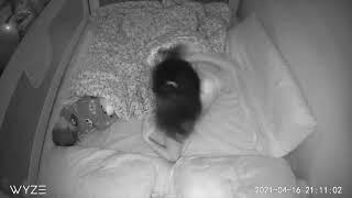 Baby Monitor Captures: Ignoring Dad and just bothering Mom
