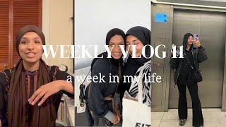 WEEKLY VLOG 11- YouTube Reflections, Joint Vlog & More! | AD