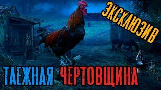 Страшные Истории - Таежная чертовщина (Сергей Зимин) ЭКСКЛЮЗИВ