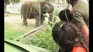 Citizen Visit Lahore Zoo For Eid Ul Fitr Celebrations Pkg By Akhtar Hayat City42