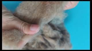 camel hair for bedding and pillows