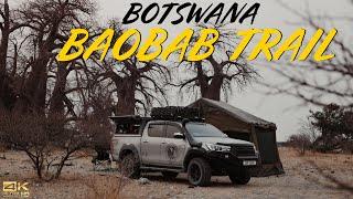 Botswana Overland Part 2 | The Baobab Trail