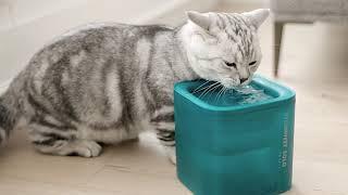 PETKIT EVERSWEET SOLO PET WATER DRINKING FOUNTAIN