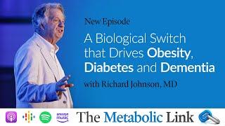 A Biological Switch that Drives Obesity, Diabetes, and Dementia | The Metabolic Link Ep. 39