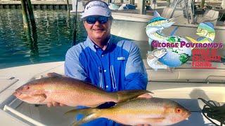 2020 SEASON - Episode 7 CAPE ELEUTHERA, BAHAMAS - MONSTER YELLOWTAILS! 4k