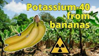 Potassium - 40 from radioactive bananas - Nuclear Chemistry