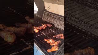 Beautiful day & BBQ | Travel Maniac in Belleville Ontario Canada 