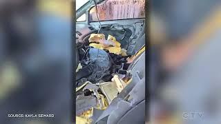 CAUGHT ON CAMERA | Ontario woman's car ransacked after bear gets stuck inside