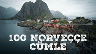 En fazla kullanılan 100 Norveççe cümle - Norveççe Dersleri