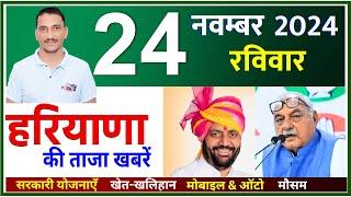 24 November 2024 Haryana News || हरियाणा की ताजा खबरें || Haryana Live News || CWB Hindi News