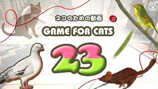 【猫用動画MIX23】ハトねこじゃらしなど ４時間 GAME FOR CATS 23