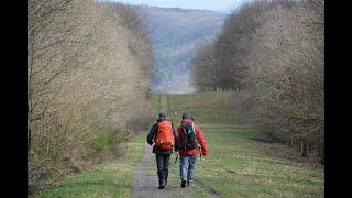 WILDNIS TRAIL (Eifel National Park, Germany)