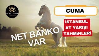 28 Haziran 2024 Cuma İstanbul At Yarışı Tahminleri