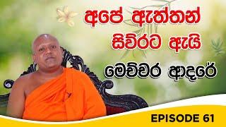 අපේ ඇත්තන් සිව්රට ඇයි මෙච්චර ආදරේ ? | BUDUWEDAKAMA EP 61