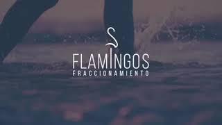 Fraccionamiento Flamingos