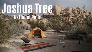 Cold Weather Camping at Jumbo Rocks Campground with my Dog | Joshua Tree National Park