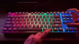 Whatgeek x 3inus Kebohub EE01 mechanical keyboard demo