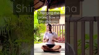 Shirshasana | Changing The Prana flow | Theory Of Shirshasana | Yoga Teacher Training