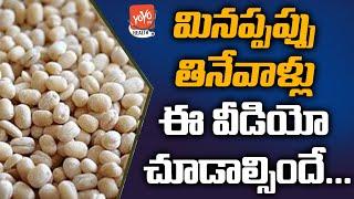 Disadvantages of Urad Dal | Minumulu Health Benefits | Black Gram | YOYO TV Health